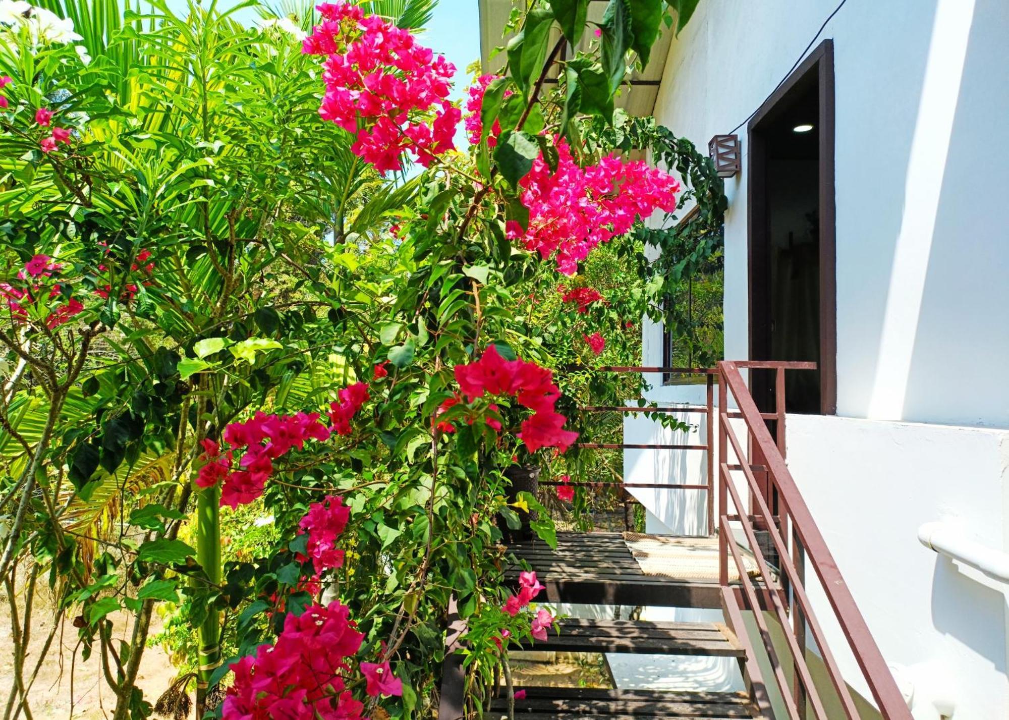 Alma Homestay Mararikulam Exteriér fotografie